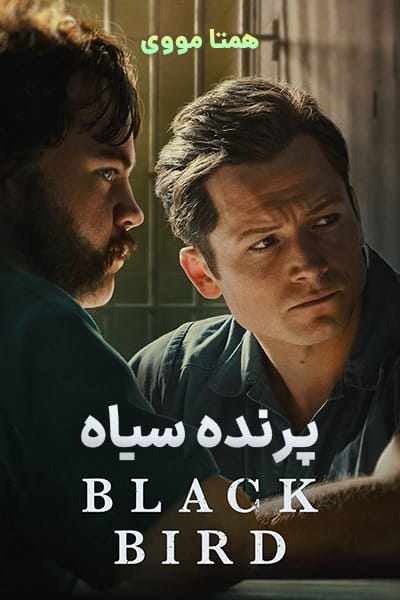 دانلود سریال Black Bird